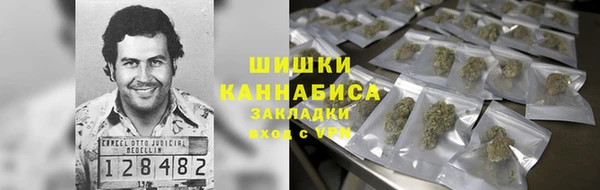 мдпв Богданович
