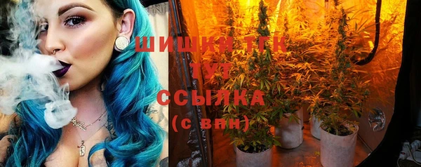 ГАЛЛЮЦИНОГЕННЫЕ ГРИБЫ Богородицк