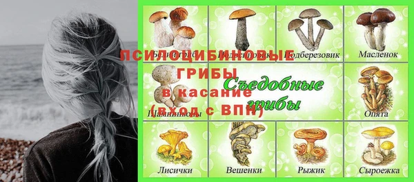 меф Богородск