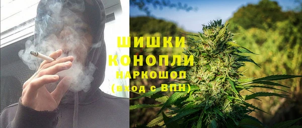 мдпв Богданович