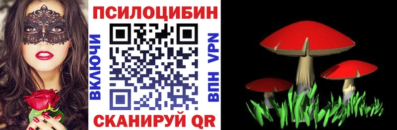 Псилоцибиновые грибы Magic Shrooms Мостовской