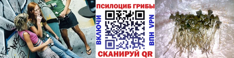Псилоцибиновые грибы Magic Shrooms  Мостовской 
